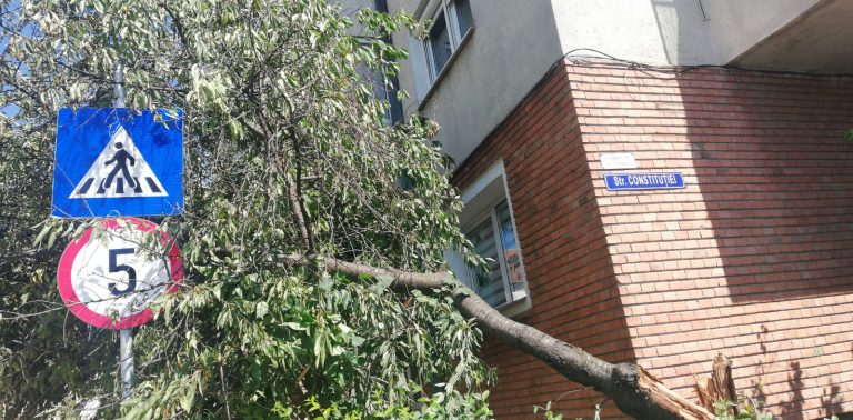 FOTO – Copac aflat în pericol de cădere, îndepărtat de pompierii sibieni