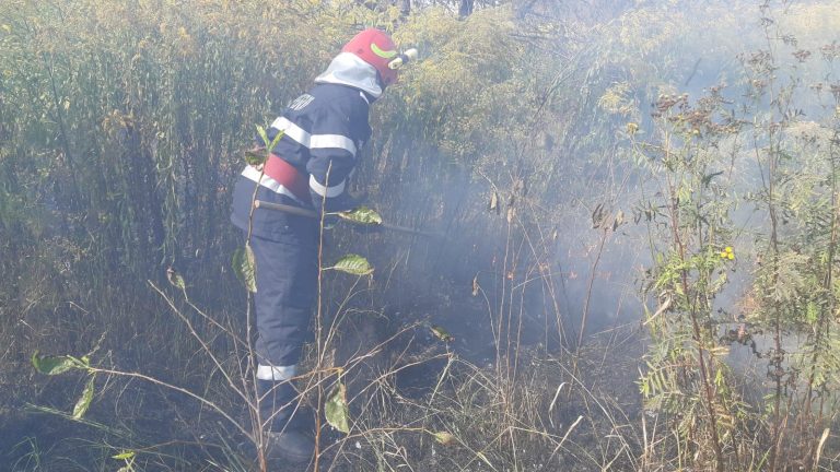 Cinci hectare de vegetație, distruse de un incendiu la Slimnic