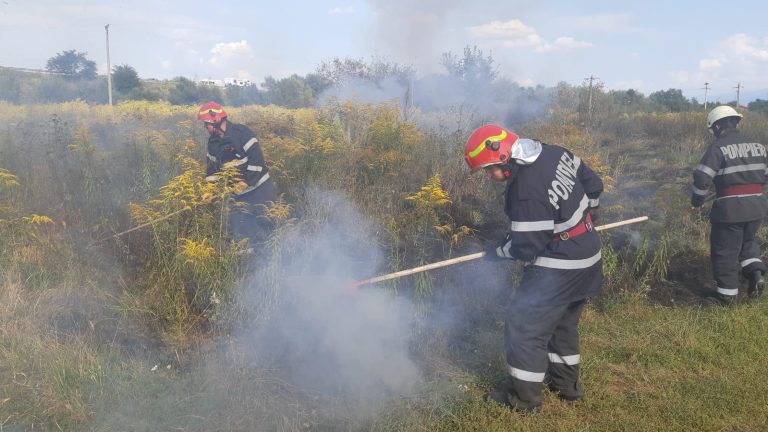 FOTO – Sute de metri pătrați de vegetație au ars, la Avrig