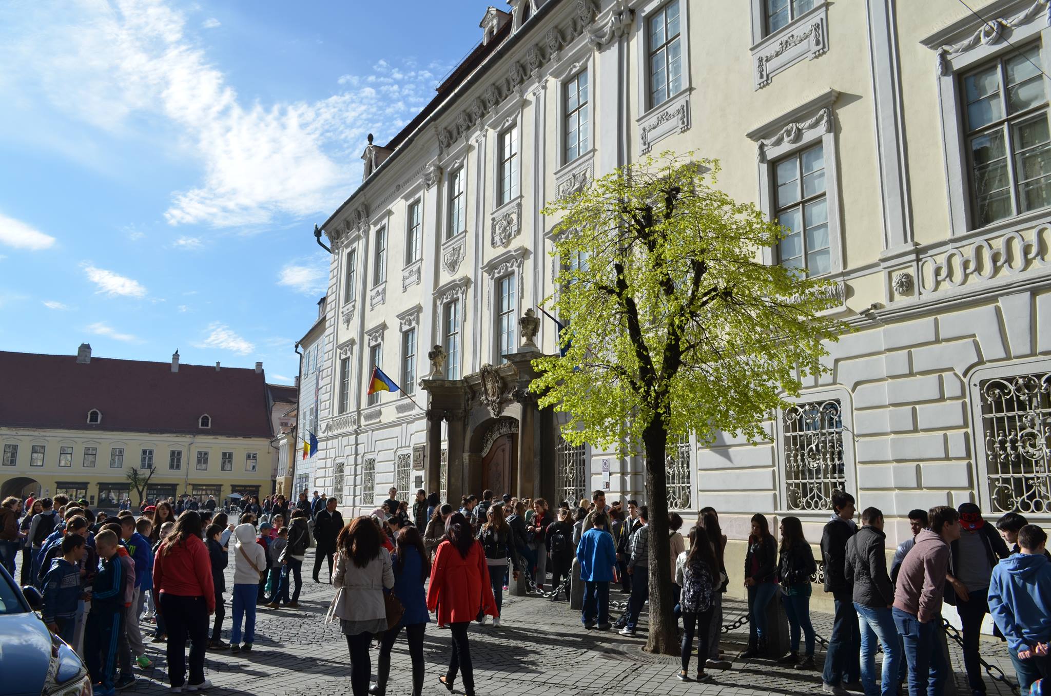 Papagalii, vedetele celei mai noi expoziții de la „Brukenthal”