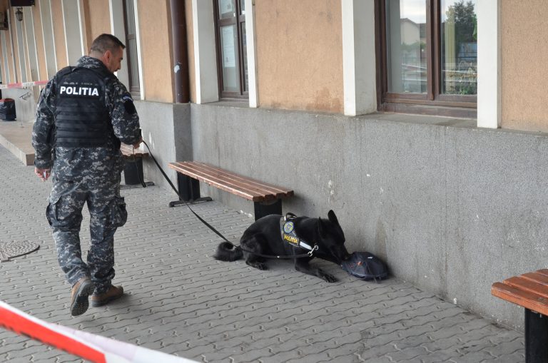 FOTO – „Bagaj suspect” descoperit în gara din Sibiu