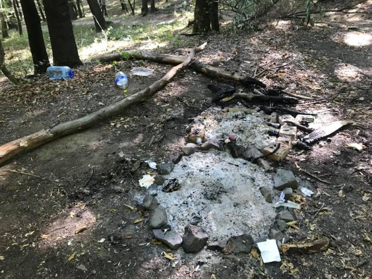 Tot mai multe gunoaie aruncate în diferite zone din oraș. Primăria Mediaș cheamă oamenii la o dezbatere