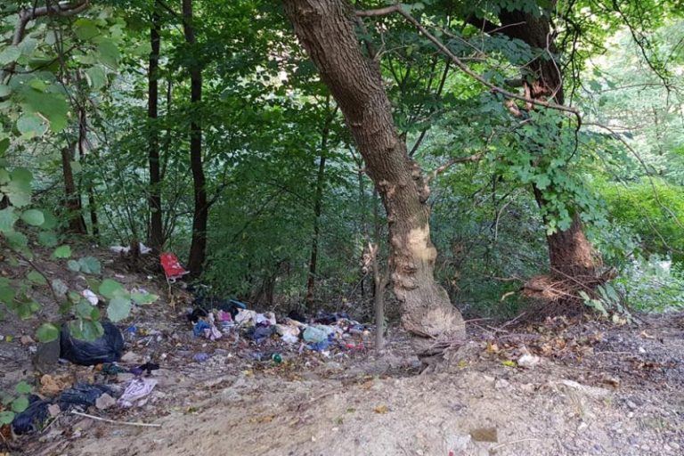 Let`s Do It, Mediaș! mobilizează voluntarii pentru curățenie în 5 octombrie