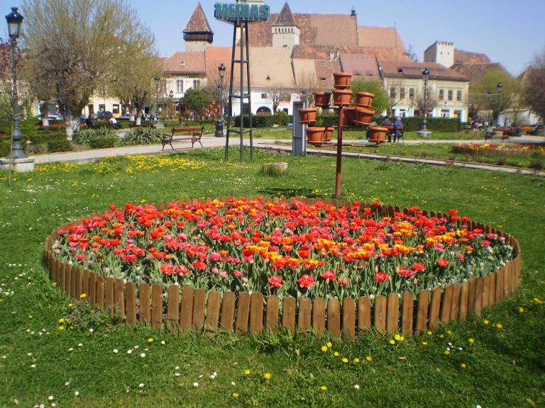 Au început lucrările la monumentul ridicat în memoria foștilor deținuți politici