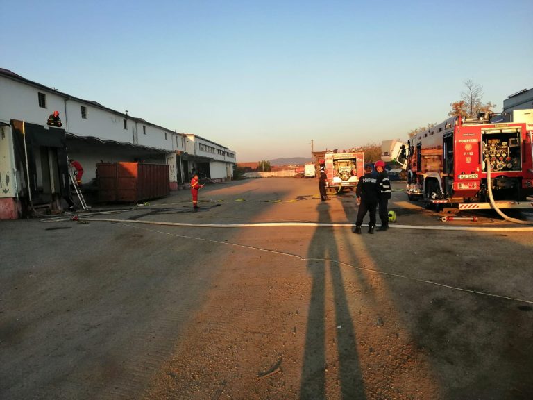 O hală de pe strada Frigoriferului, cuprinsă de flăcări