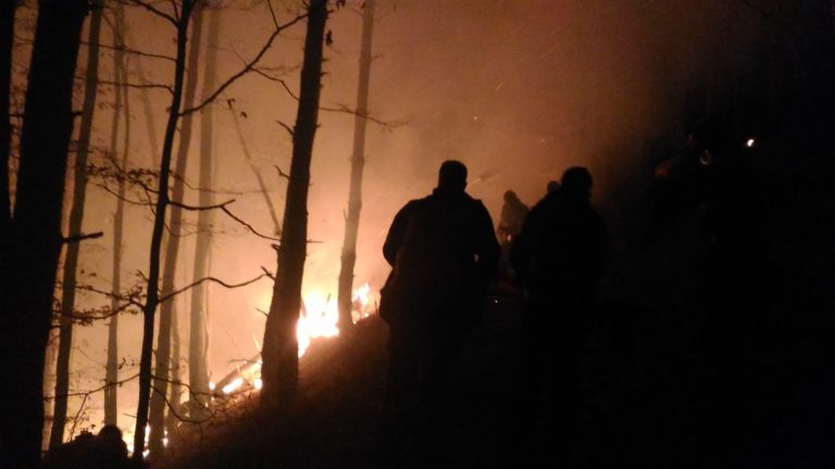 FOTO – Incendiu puternic în pădurea Măgura
