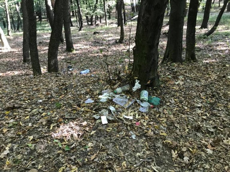 Campanii de informare pentru a reduce fenomenul deșeurilor aruncate la voia întâmplării