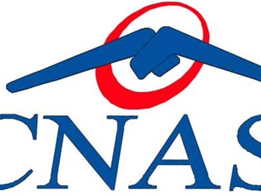 Sibianca Adela Cojan este noul președinte CNAS