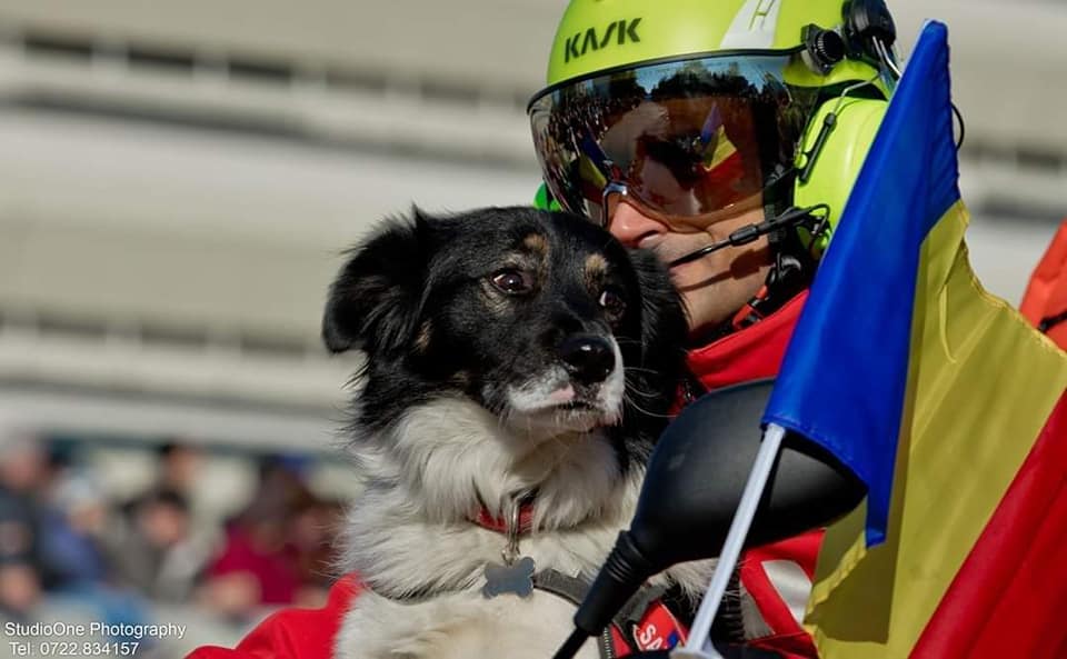 Activitatea câinilor Salvamont, reglementată prin lege