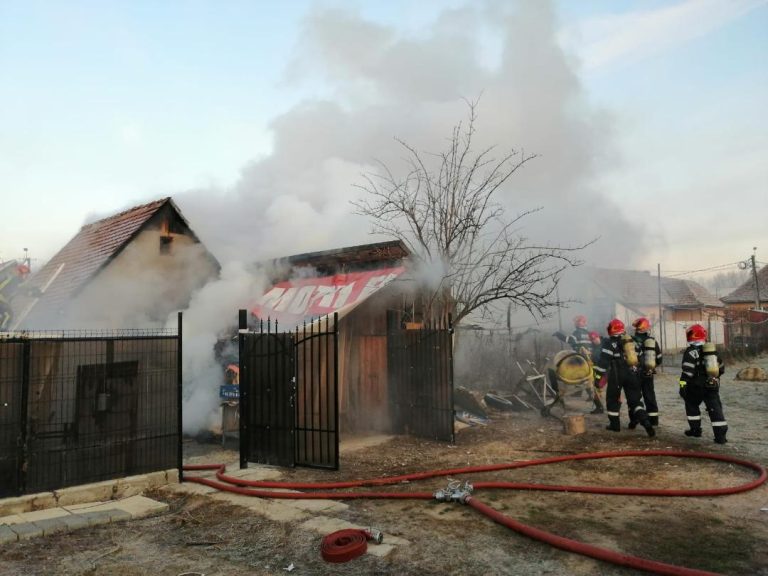 FOTO – Incendiu într-o curte din Sibiu, la o stivă de lemne