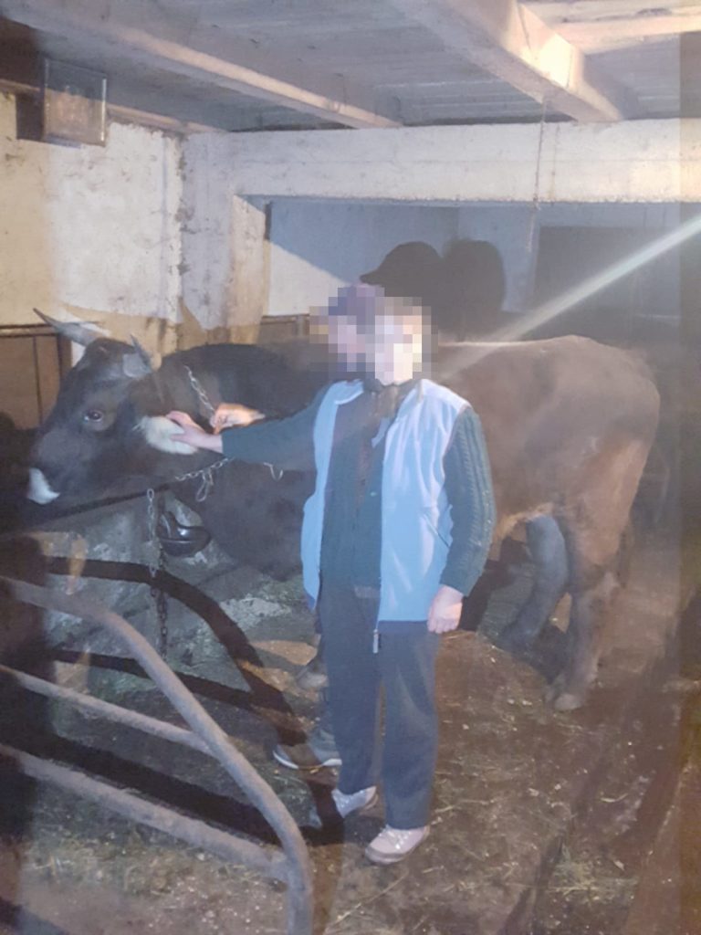 FOTO – Doi tineri din Sibiu, spaima proprietarilor de animale din Vâlcea