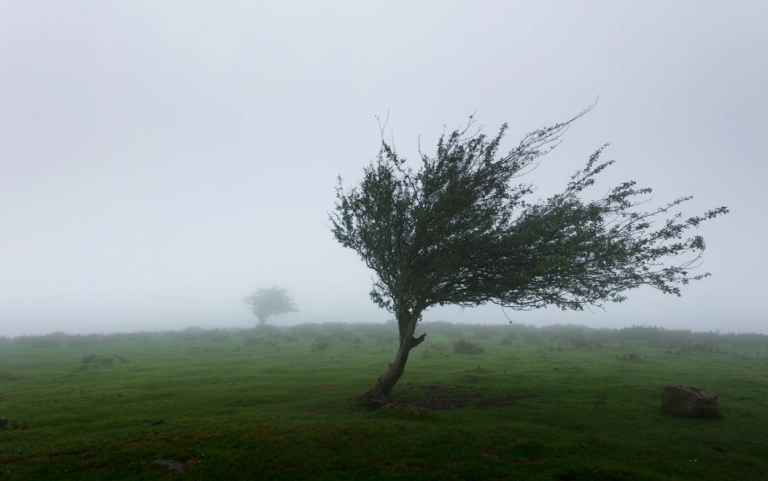 Avertizare ANM: vânt puternic și ploi în județul Sibiu