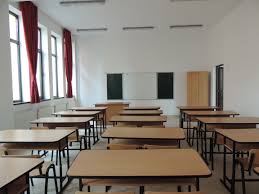 Cursuri suspendate din cauza virozelor pentru două clase de la Școala Gimnazială nr. 25 din Sibiu