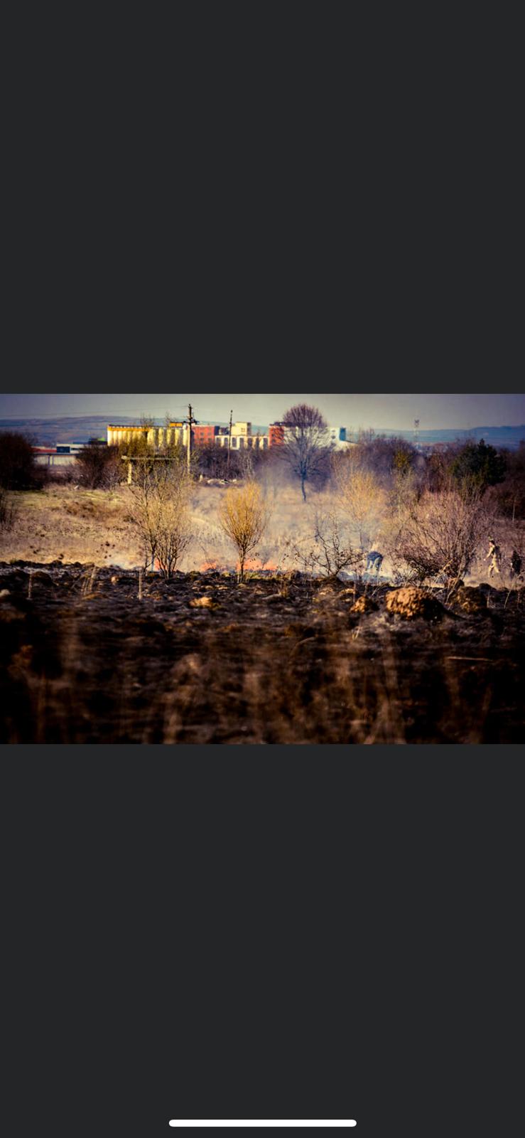 FOTO: Cinci hectare de vegetație au ars în Sibiu