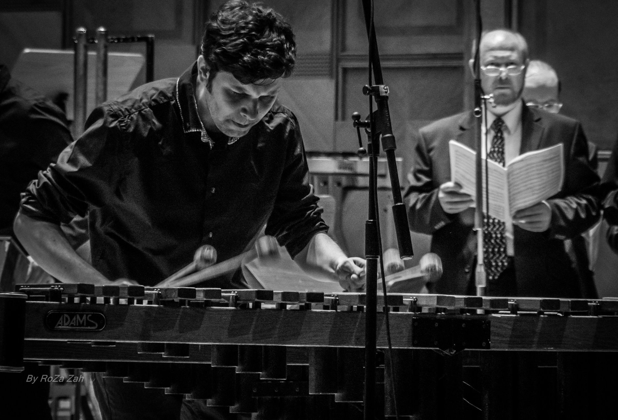 Percuționistul sibian Sorin Rotaru, în recital la Sala Thalia