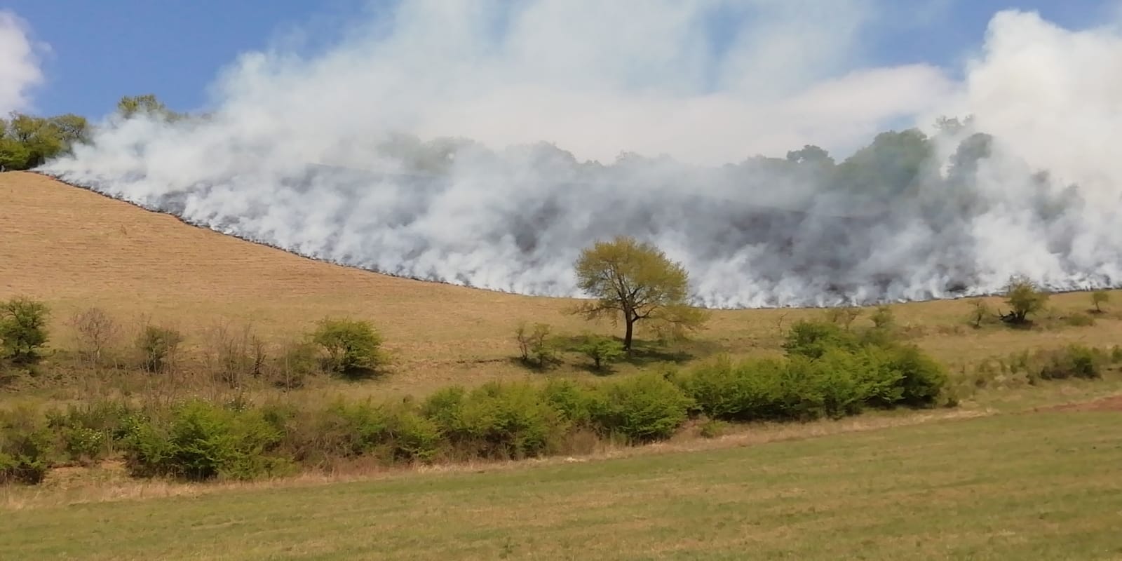 FOTO: Un incendiu a distrus 10 hectare de vegetație, la Ighișul Nou