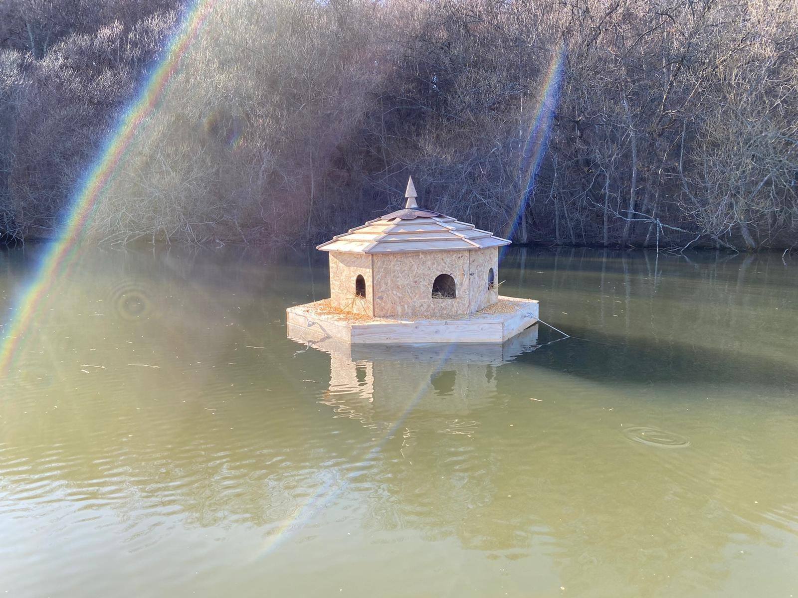 Căsuțe pentru rățuștele sălbatice de pe lac, în Muzeul ASTRA