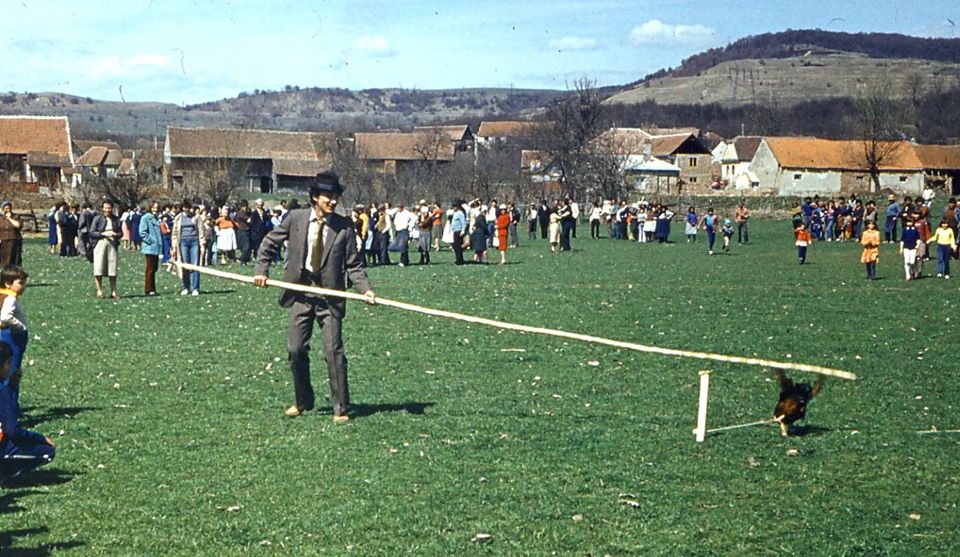 „Lovitul cocoșului”, un obicei practicat în Săcădate a doua zi de Paști