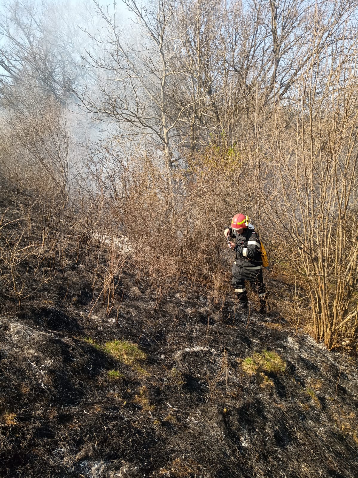 FOTO: 30 de hectare de vegetație au ars, la Mediaș și Merghindeal