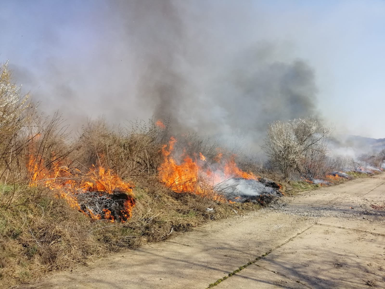 FOTO – Nicio zi fără incendii: 10 hectare de vegetație și pădure au ars, joi, în județ