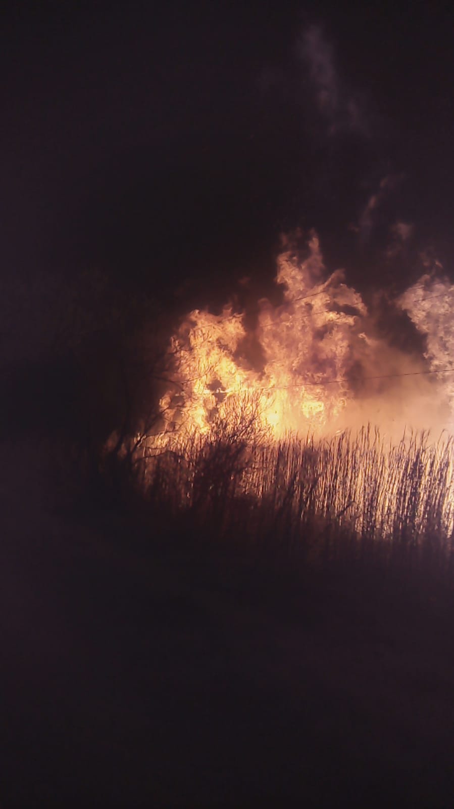 FOTO: Șase hectare de vegetație au ars, la Axente Sever