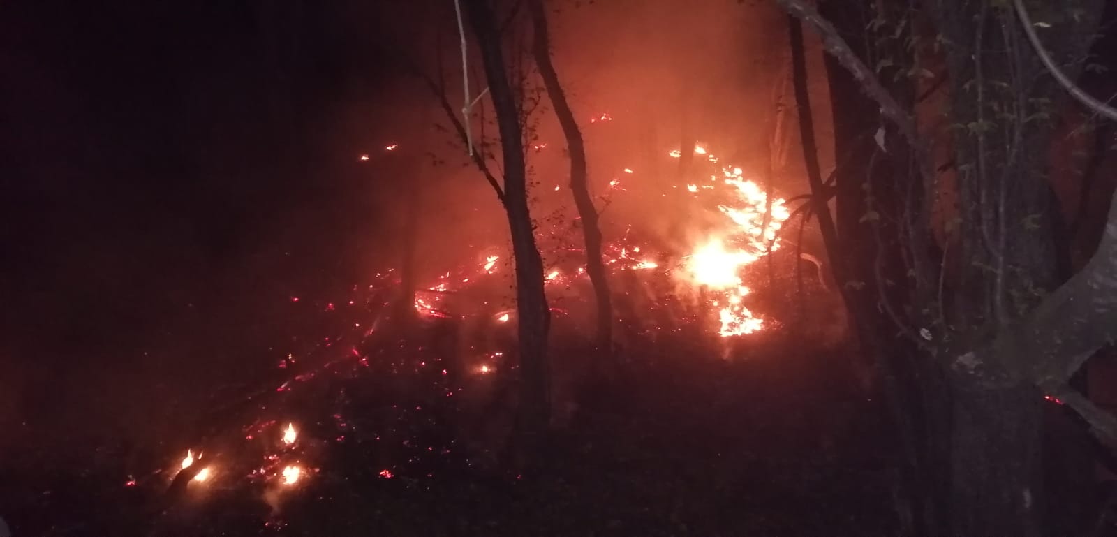 FOTO: Șase hectare de vegetație și pădure au ars, la Mălâncrav