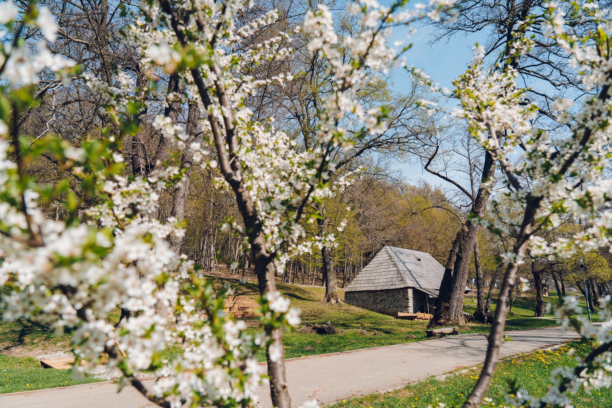 Muzeul ASTRA, pregătit pentru redeschidere. Puncte cu dezinfectant, panouri din plexiglas și informative, instalate în Muzeul din Aer Liber