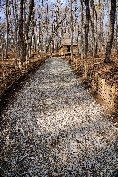 338 de vizitatori, în ziua redeschiderii, în Muzeul ASTRA
