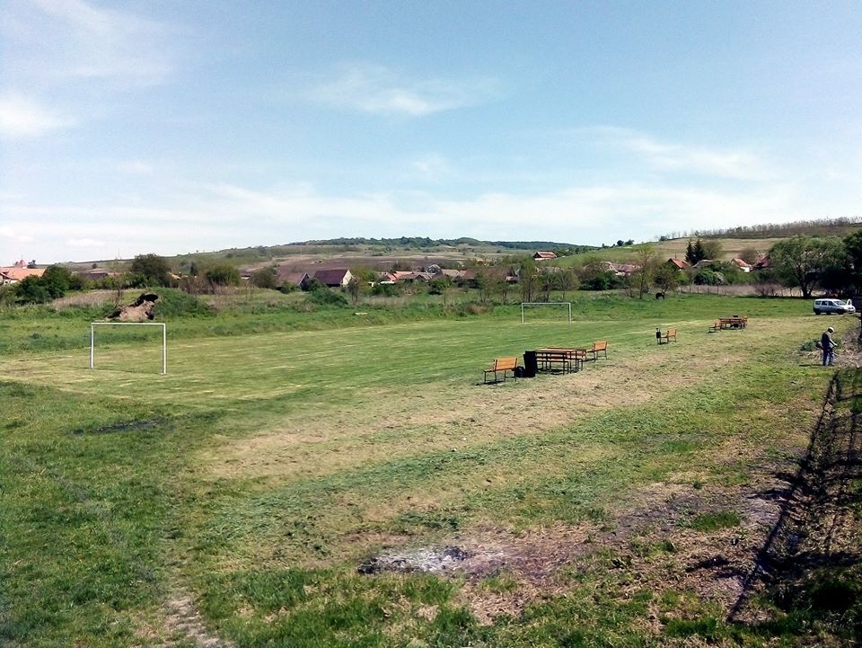 7 copșeni sunt infectați cu coronavirus