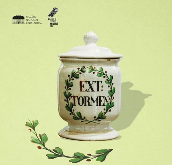 Borcane farmaceutice cu praf de gândaci și manuscrise ale farmaciștilor sibieni, într-o expoziție la Muzeul din Piața Mică