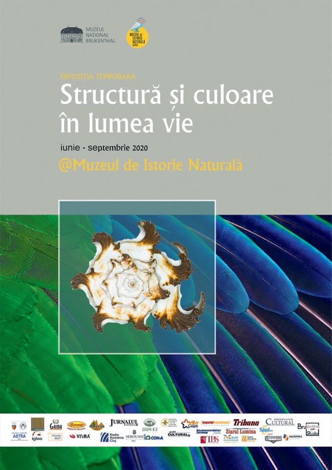 Trei luni de „Structură și culoare în lumea vie”, la Muzeul de Istorie Naturală