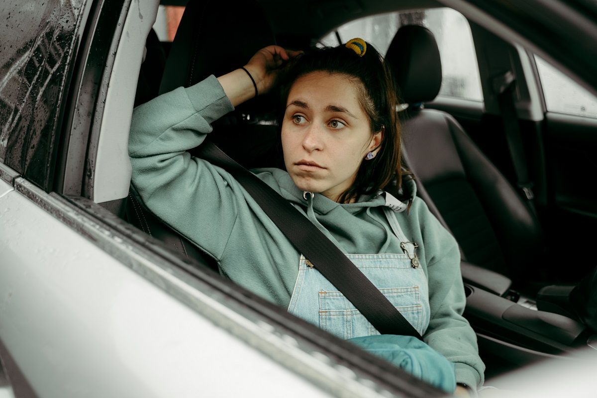 FITS online, la final. 804.328 de vizualizări, în cele zece zile ale Festivalului