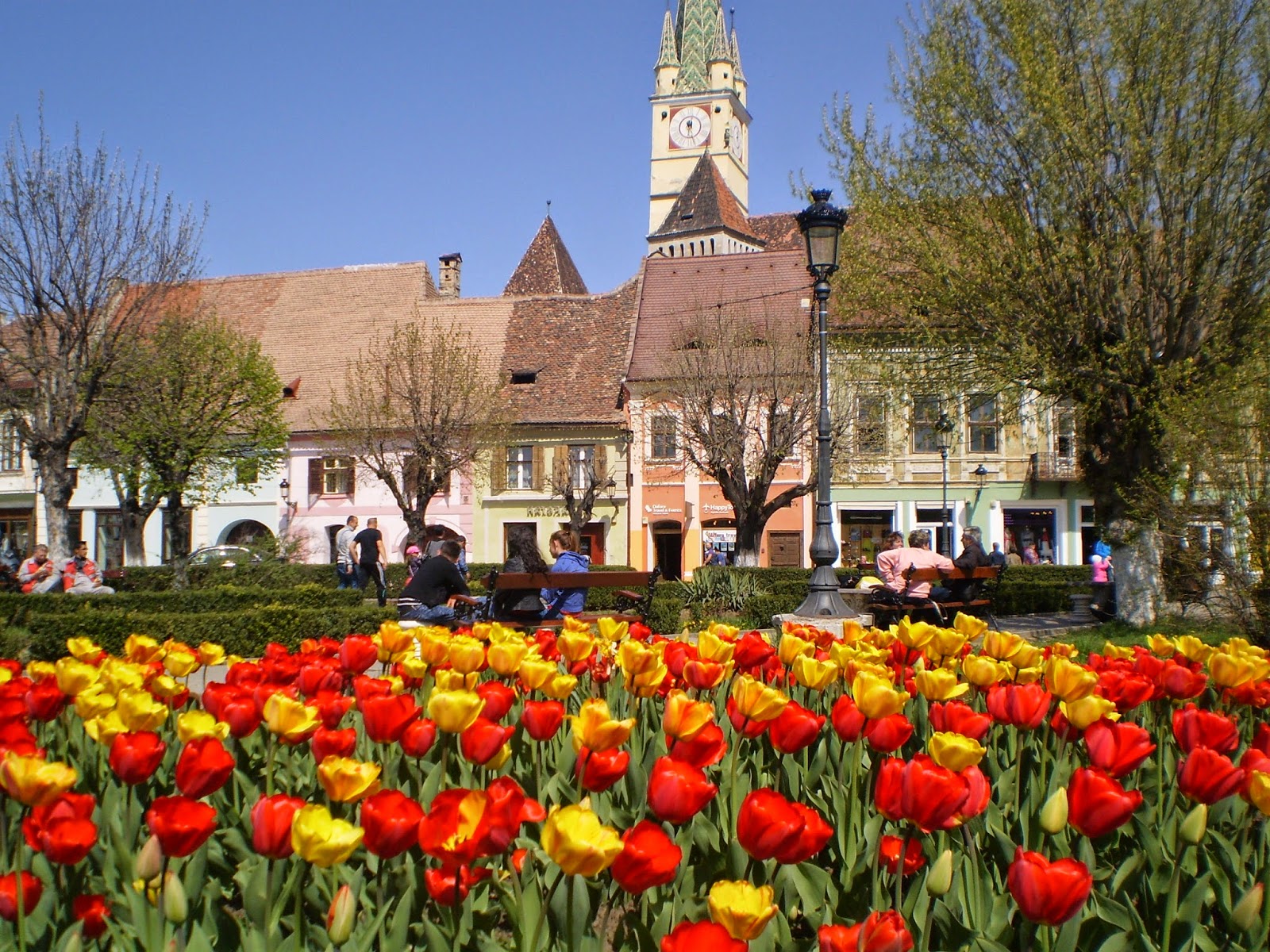 Medieșenii, invitați să își spună părerea despre situația economică, socială și a mediului