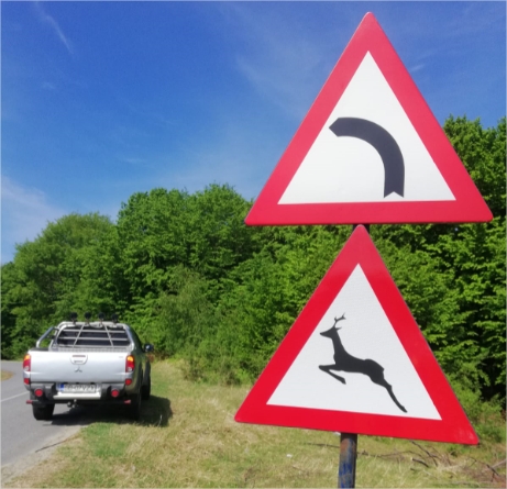 Stop accidentelor! Viața are prioritate! Măsuri de  siguranță pe drumurile județene!