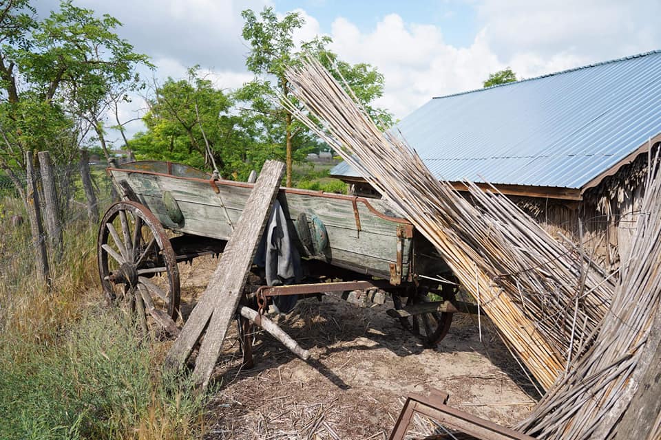 Specialiștii Muzeului ASTRA, în deplasare, în satul Letea din Delta Dunării
