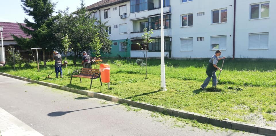 FOTO: Lucrări de intervenții la zonele și spațiile verzi din cartierele Mediașului