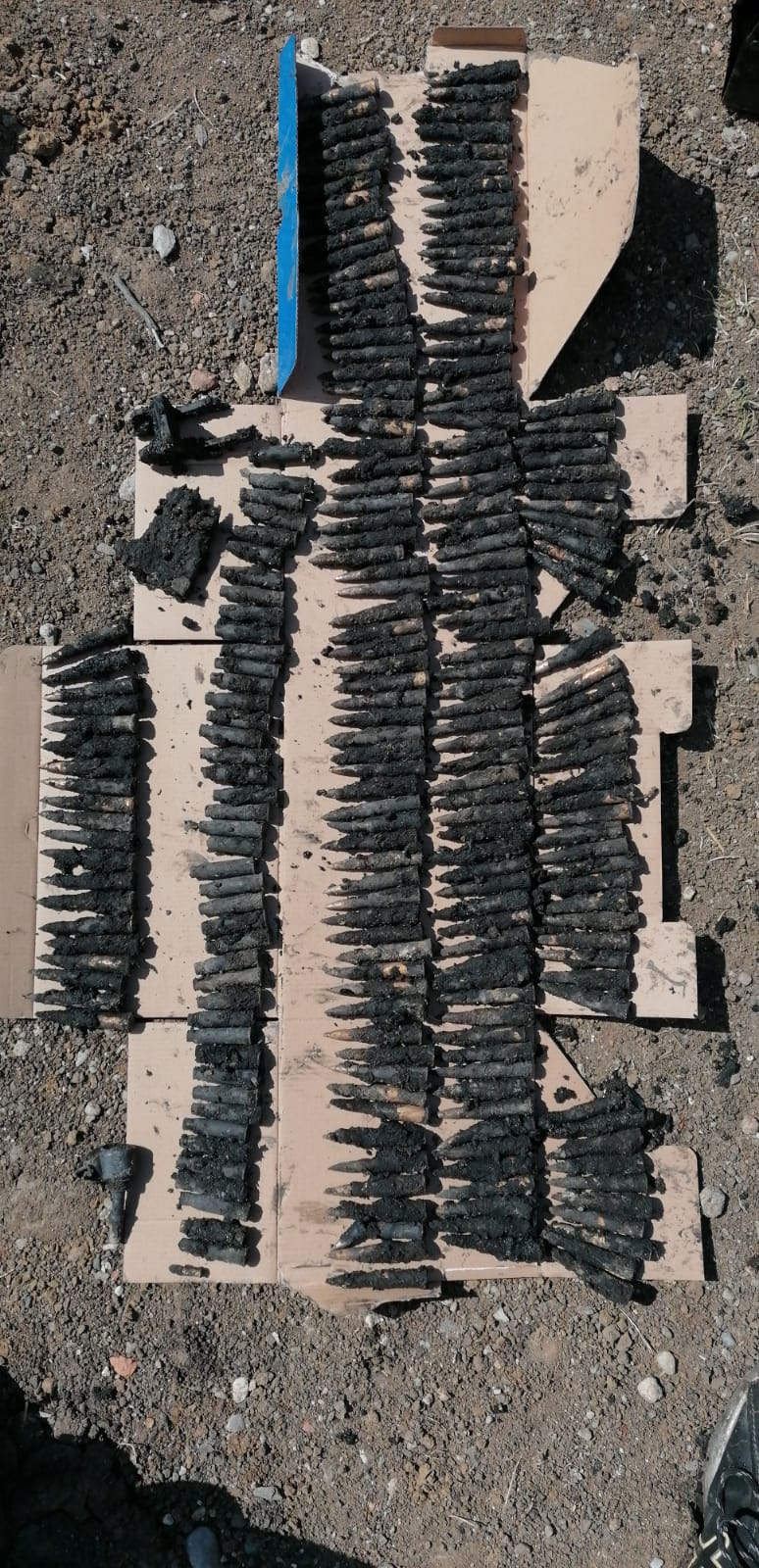 FOTO: Sute de cartușe descoperite pe strada Nicolae Iorga din Sibiu