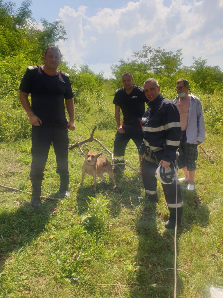Video/ Câine căzut într-o fântână adâncă de 12 metri, salvat de pompieri