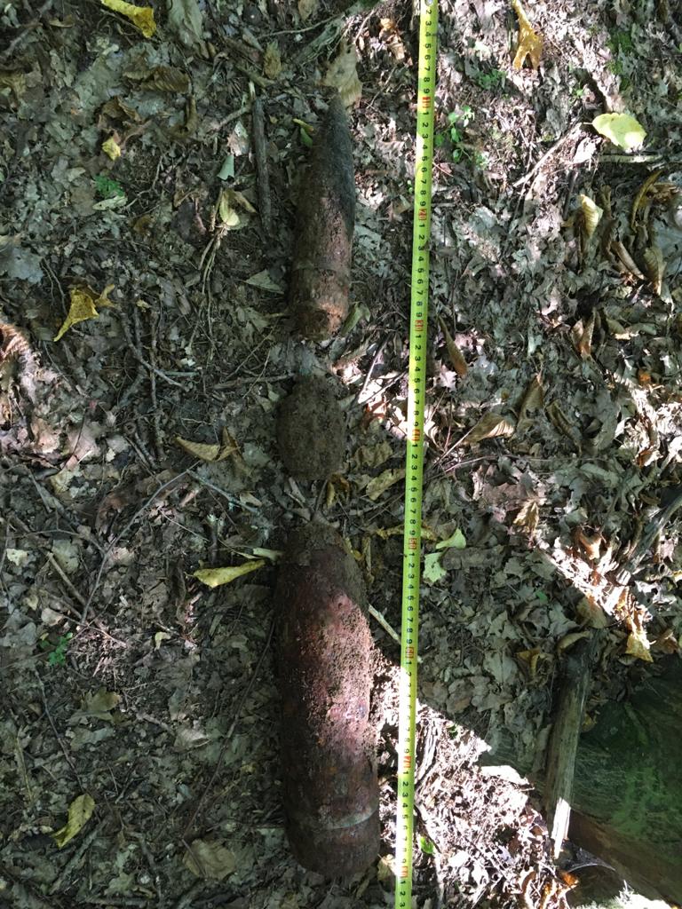 Muniție de război, descoperită într-o pădure din Cisnădie