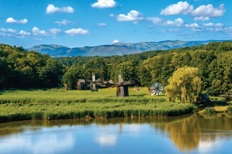 Peste 313.000 de vizitatori, anul trecut, în Muzeul ASTRA