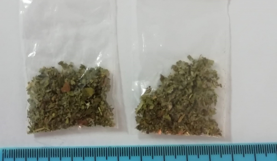 Patru bărbați, reținuți pentru comercializarea de droguri, în urma unor percheziții în Cisnădie