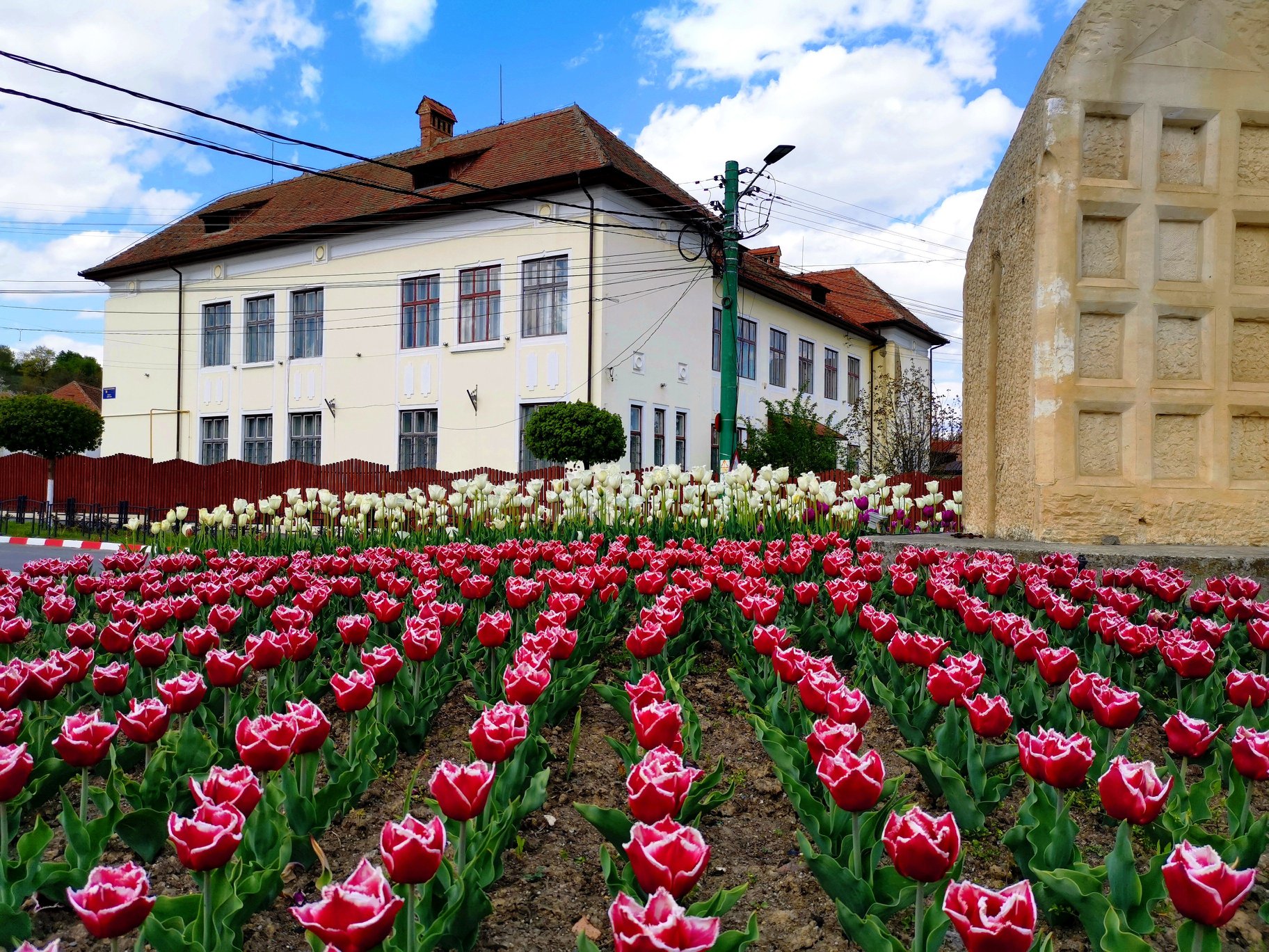 Noi spații de învățământ, în Cisnădie. Cinci săli de clasă ale Școlii Gimnazle Nr. 1, reabilitate