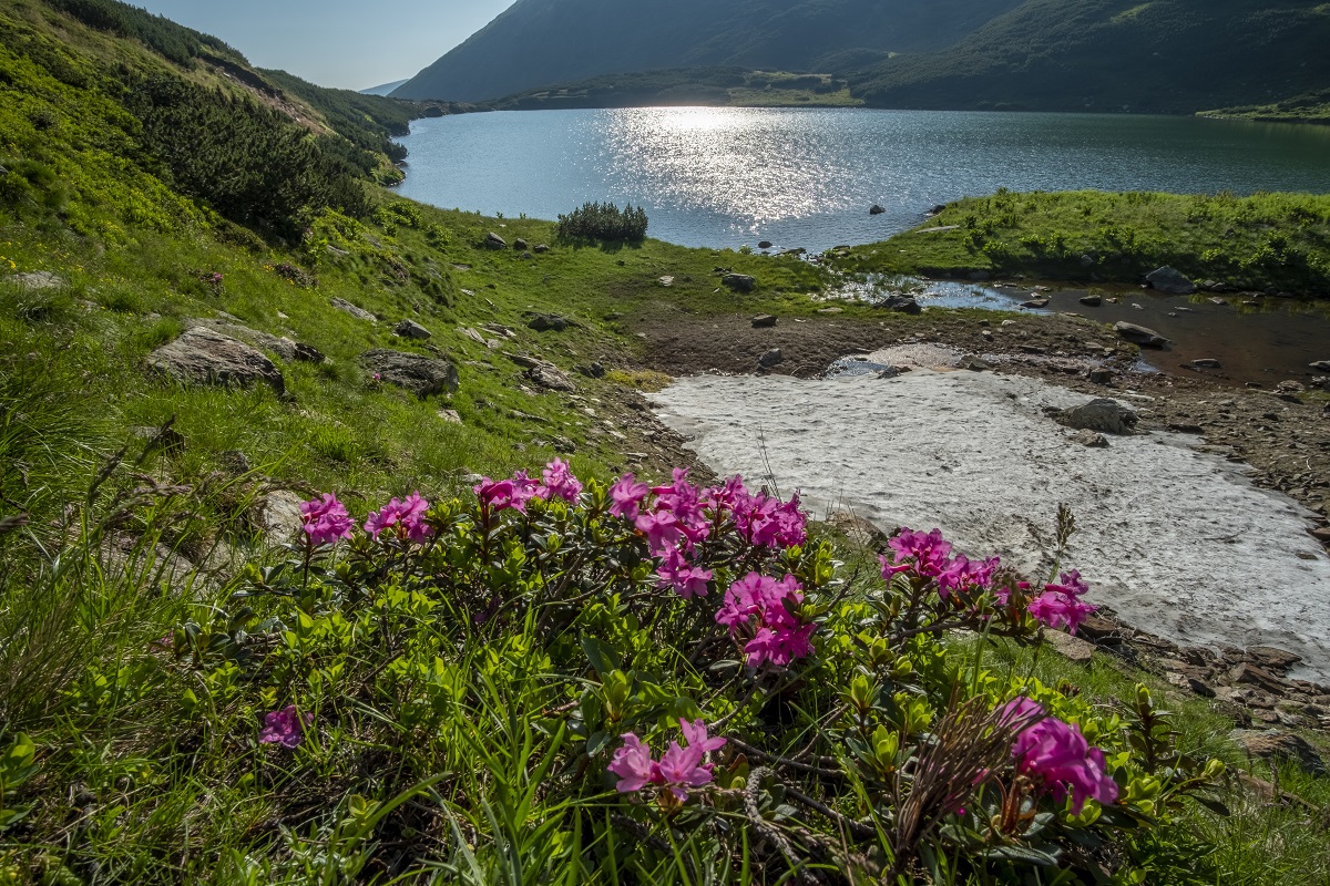 Munții Cindrel și Mărginimea Sibiului, prezentate în cadrul Seminarului Tematic „Use of Natural Heritage Eco-Tourism”