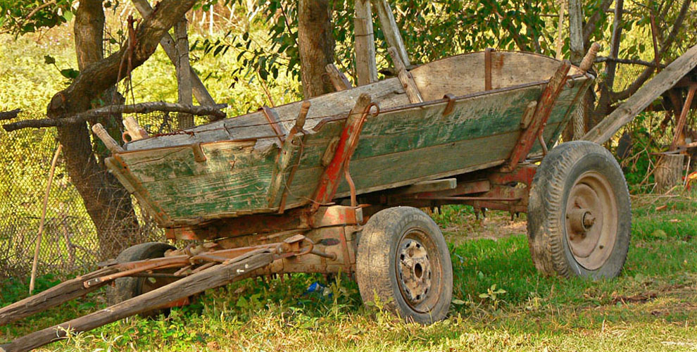 La spital după ce a căzut din căruță