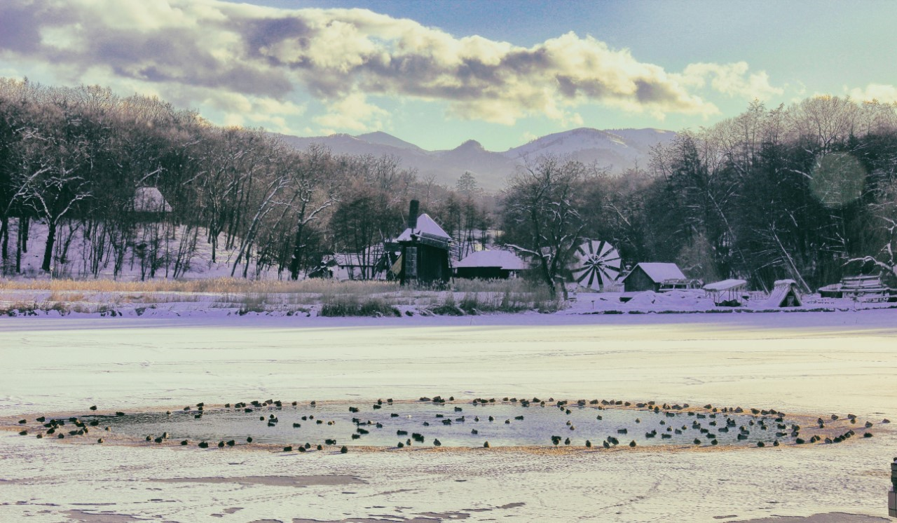 Muzeul Astra trece la programul de iarnă