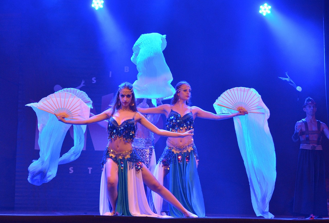 Sibiu Dans Festival, de vineri până duminică