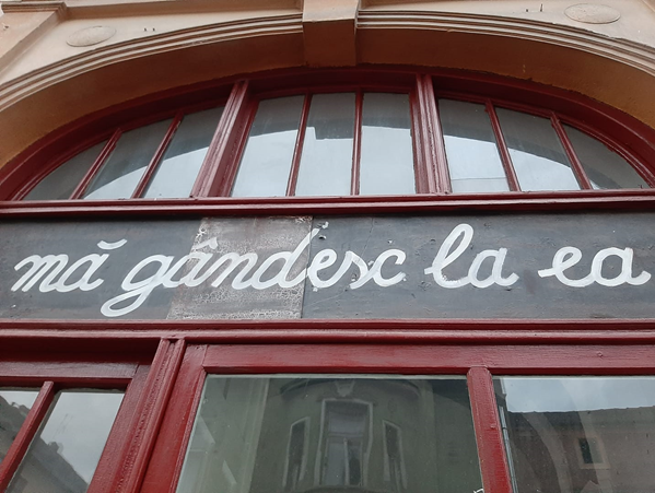 Tribunei 13 devine artă.nonstop