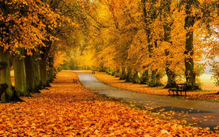 Surprizele vremii până în 9 noiembrie