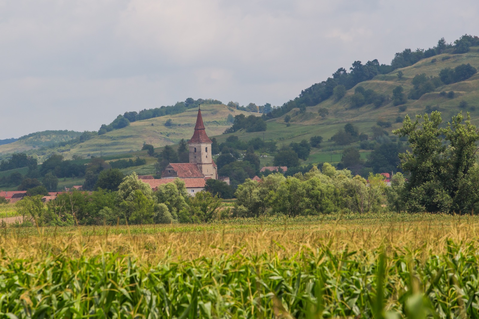 Noi reguli de vânzare-cumpărare a terenurilor arabile din extravilanul localităților