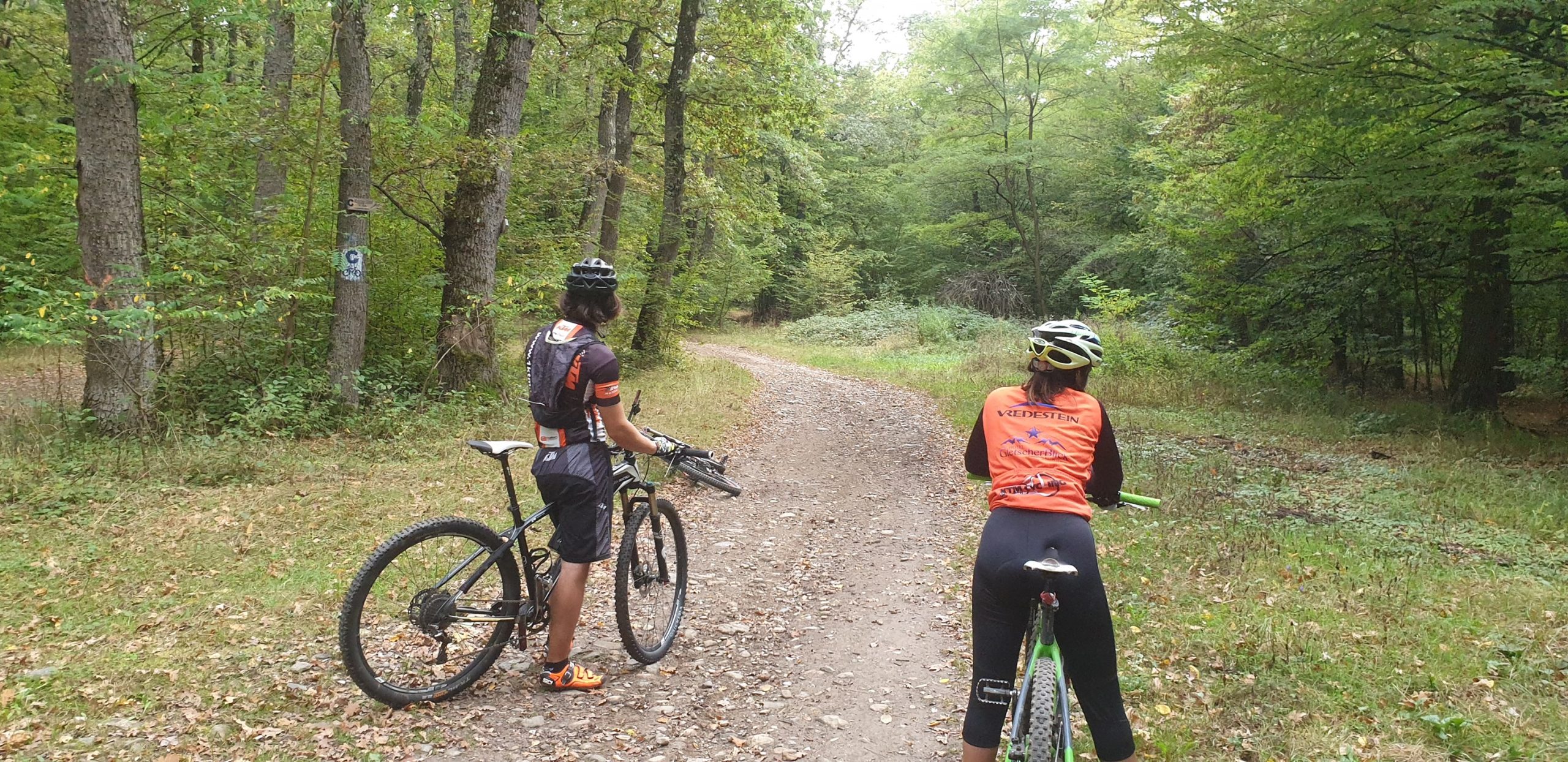 Cu bicicletele, pe traseul „Emil Cioran”